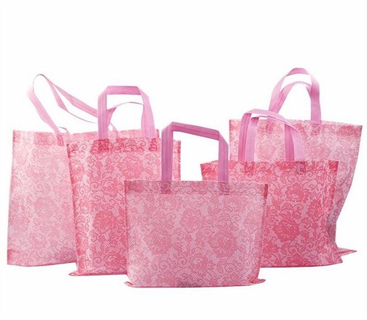 non woven gift bag